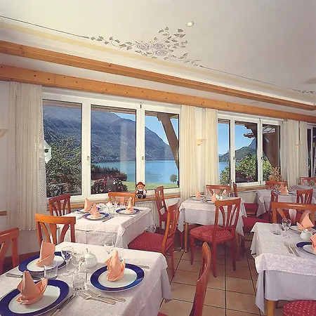 Hotel Des Alpes 3*
